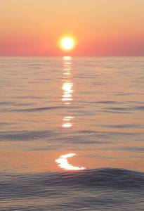 WhatsApp Image 2018-07-15 at 21.41.43