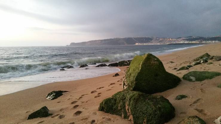 WhatsApp Image 2018-07-24 at 22.19.33