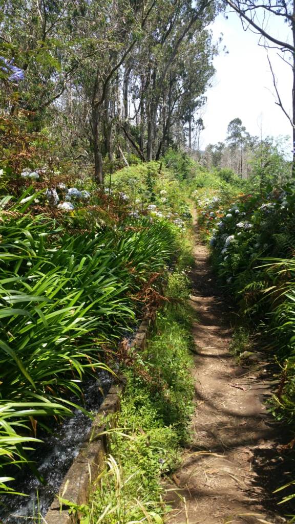 WhatsApp Image 2018-08-03 at 22.16.37