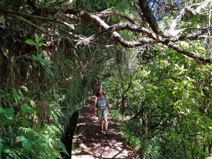 WhatsApp Image 2018-08-04 at 19.18.15