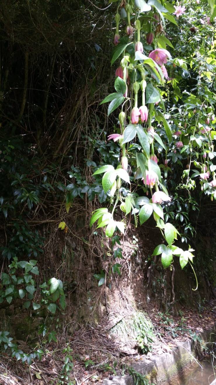 WhatsApp Image 2018-08-04 at 19.23.10