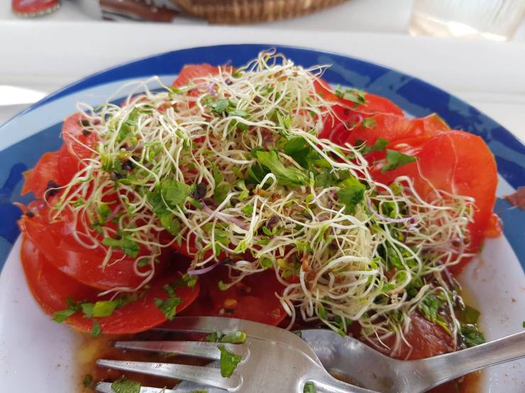 WhatsApp Image 2018-08-13 at 16.08.46