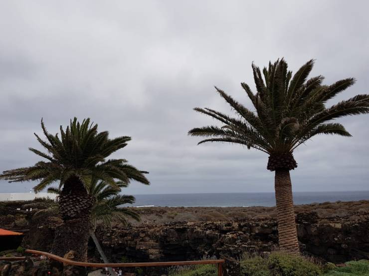 WhatsApp Image 2018-08-15 at 23.19.19