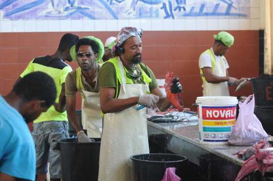 poissons & musique.jpeg