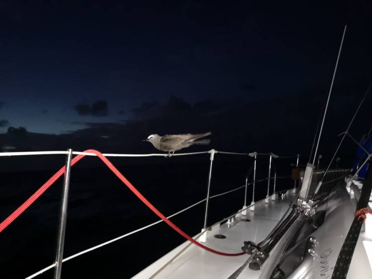 4 fregate dans la nuit