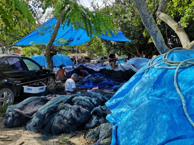 49 filets de peche.jpeg