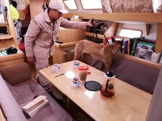 controle anti drogue.jpeg