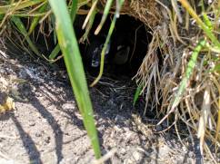 WhatsApp Image 2018-12-29 at 12.19.00