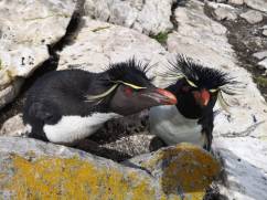 WhatsApp Image 2018-12-29 at 12.20.29