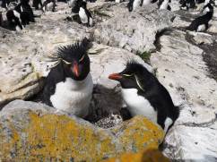 WhatsApp Image 2018-12-29 at 12.21.28