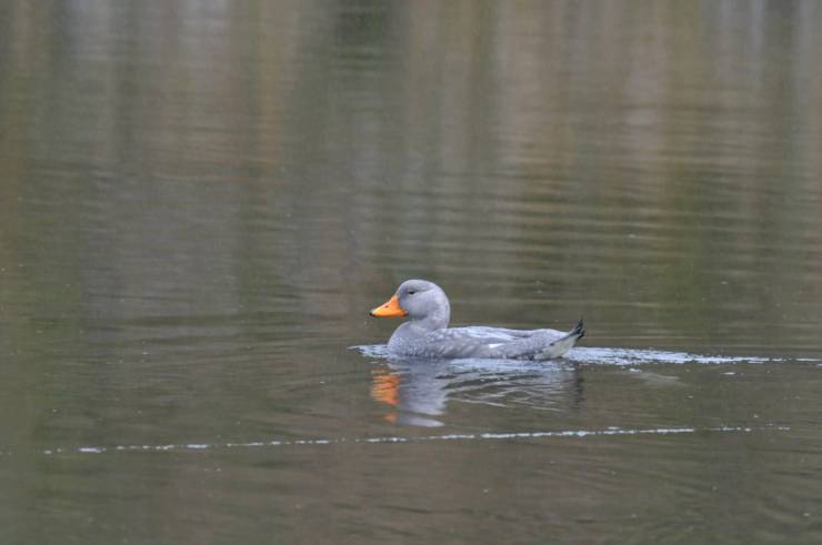 26 isla del medio.jpeg