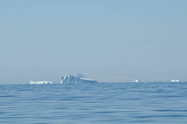 iceberg et bourguignons