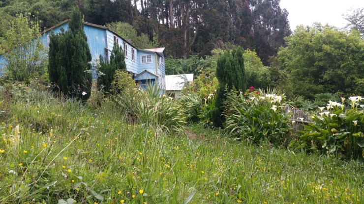 0e5e9732-5358-438b-b4db-570d75e08d98-1