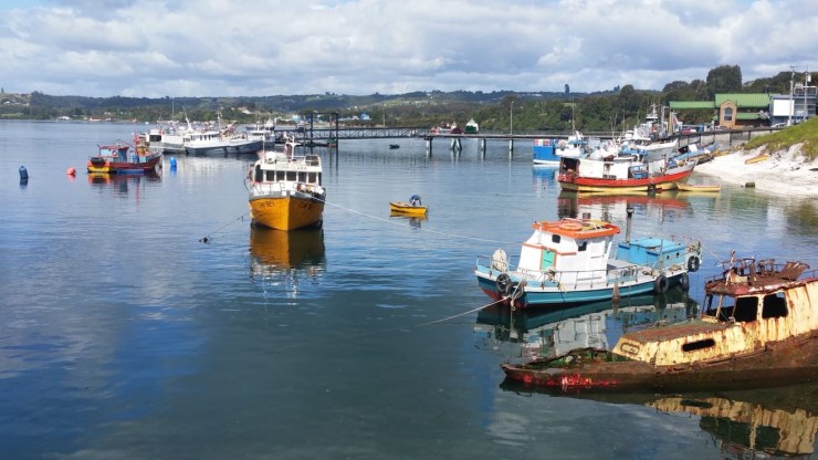 13cae93a-c8a7-4919-8b89-ca4684789077