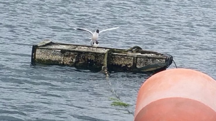 17b07926-3978-4d76-a1af-cc6a3b0b2621