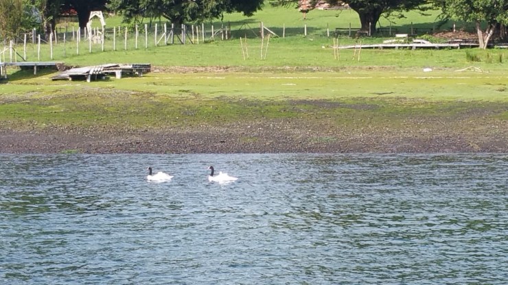 8f5d1dbf-73b2-4d23-bd04-a452d6157e32