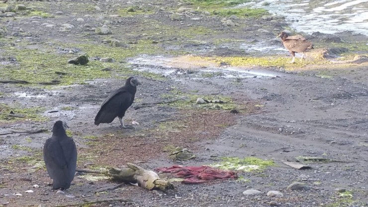 a828d737-1f78-4f43-ace4-76c84224c0cb