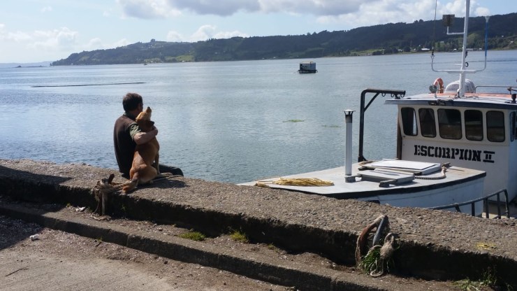 a954456a-f19d-49cc-9ddb-2638408504a8