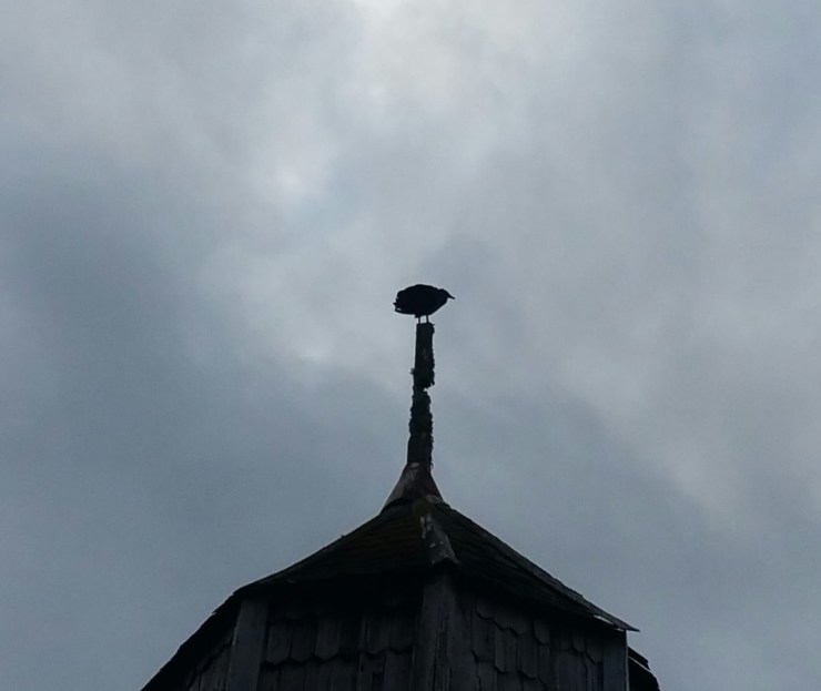 b830b280-e75d-49cf-90e7-de63393f37e2