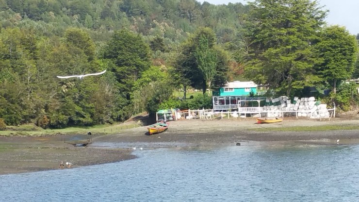 bc879113-5167-4b4d-9887-f93bf5c3b0d8