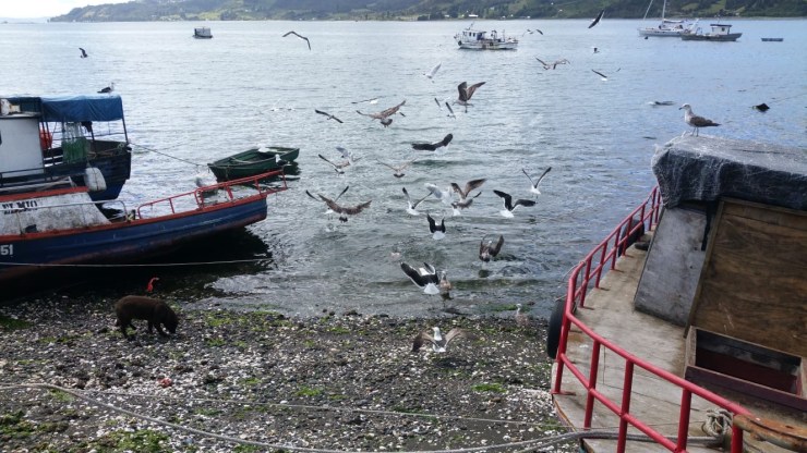 bde1840b-5da0-4e95-8df0-7d296d08bd77