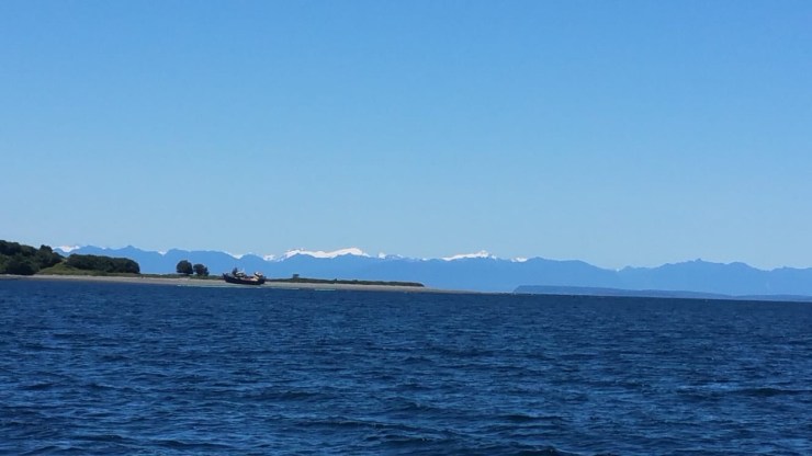 c72a6df7-e33d-483d-ab84-8d1ef0f6a677